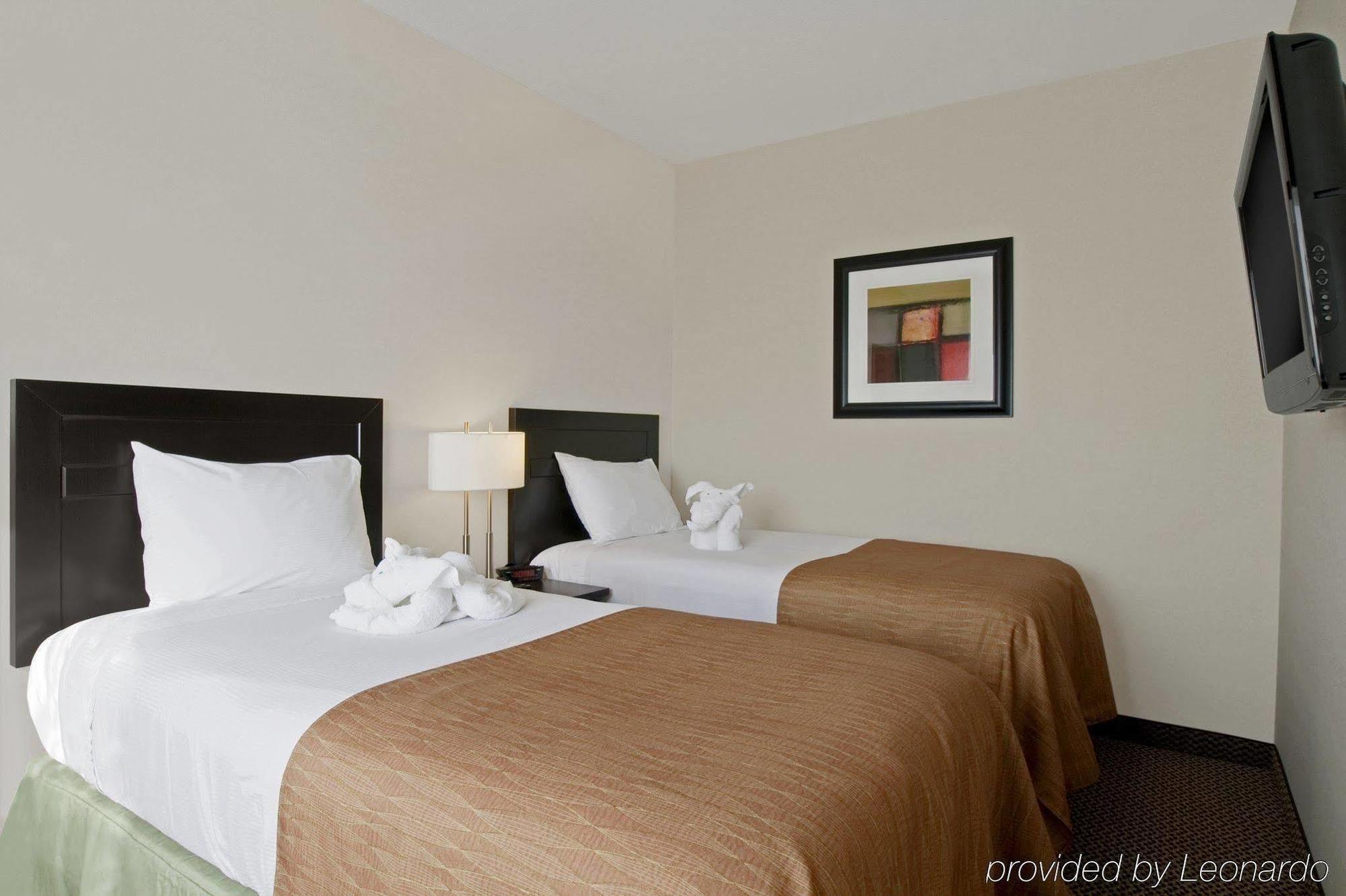 Best Western Wainwright Inn & Suites Номер фото